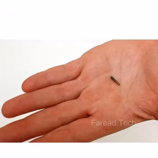 Идентификация домашних животных с имплантатом 134,2 кГц, домашние животные с микрочипом